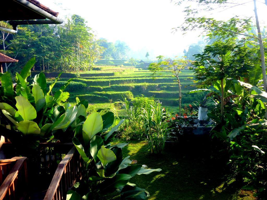 Villa Viola Ubud Exterior foto