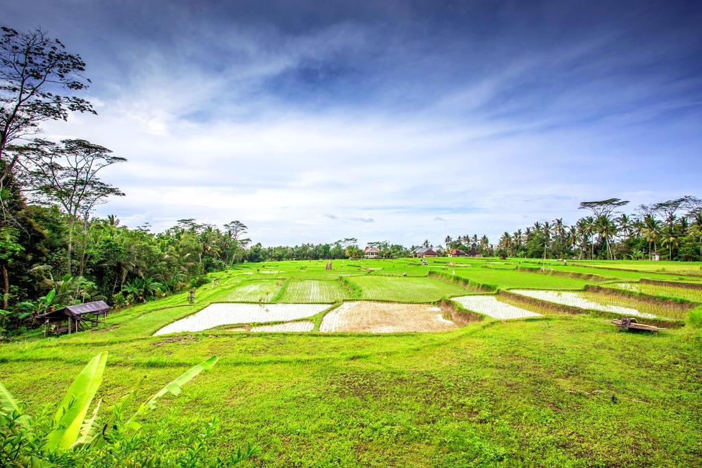 Villa Viola Ubud Exterior foto