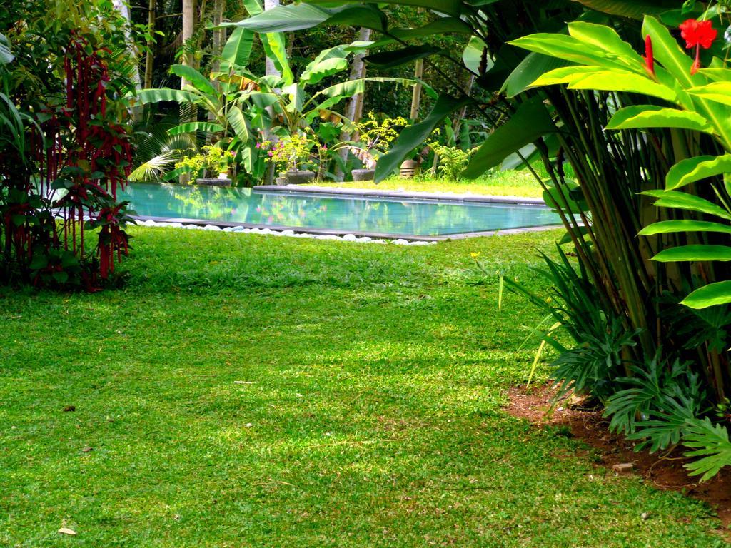 Villa Viola Ubud Exterior foto